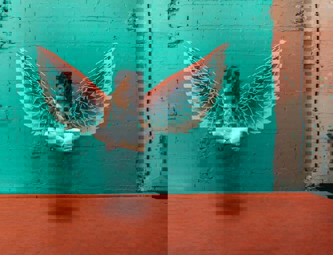 Graffiti Art Sale Raises Debate Over Public Installation Ownership